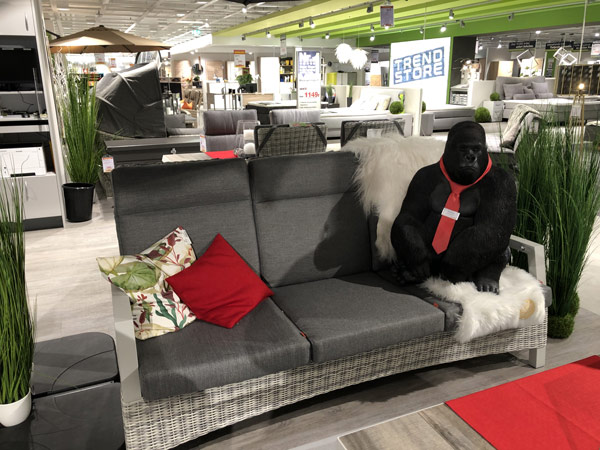 Bilder moebel heinrich garten sofa gorilla